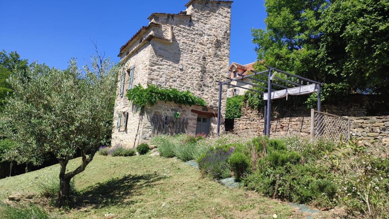 Le Pigeonnier De Felines Βίλα Caylus Εξωτερικό φωτογραφία